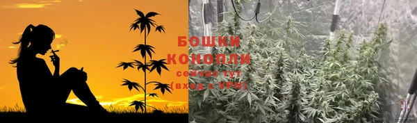 твердый Щигры