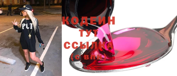 метадон Гусев