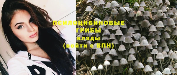 стаф Гусиноозёрск