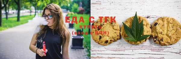молекула духа Пионерский